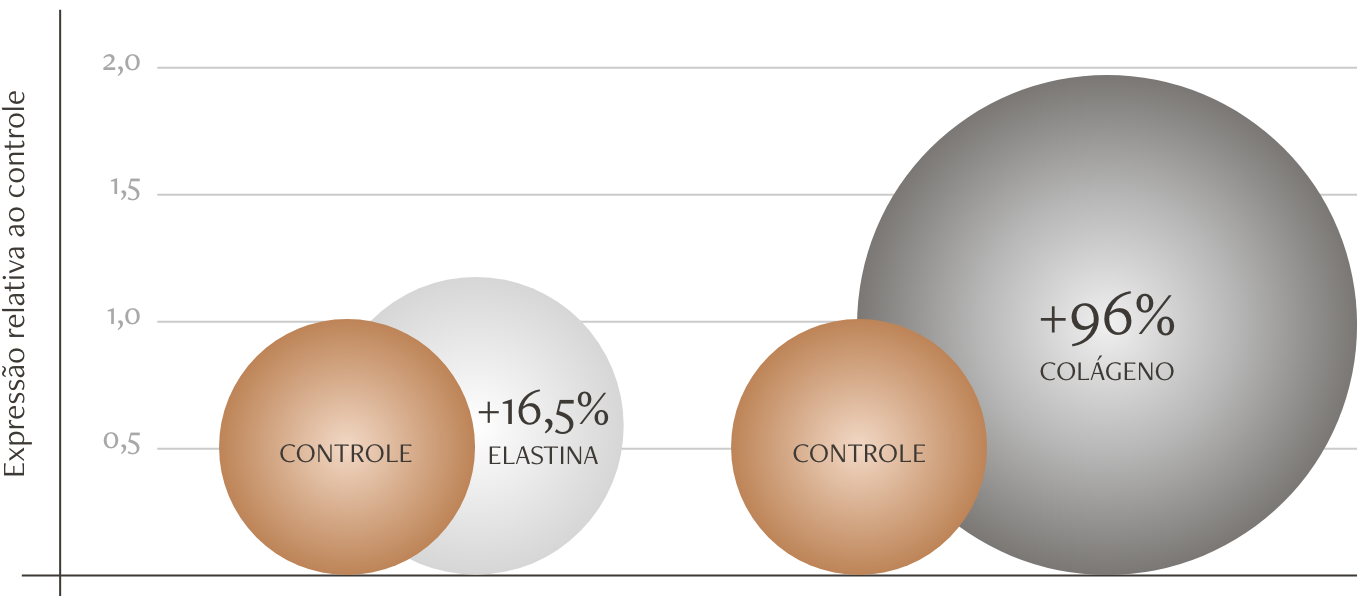infográfico explicando sobre o efeito do beauty strucuture, o sérum firmados da Noorskin, em aumento na síntese de colágeno e na síntese de elastina, para auxiliar a firmeza da pele.