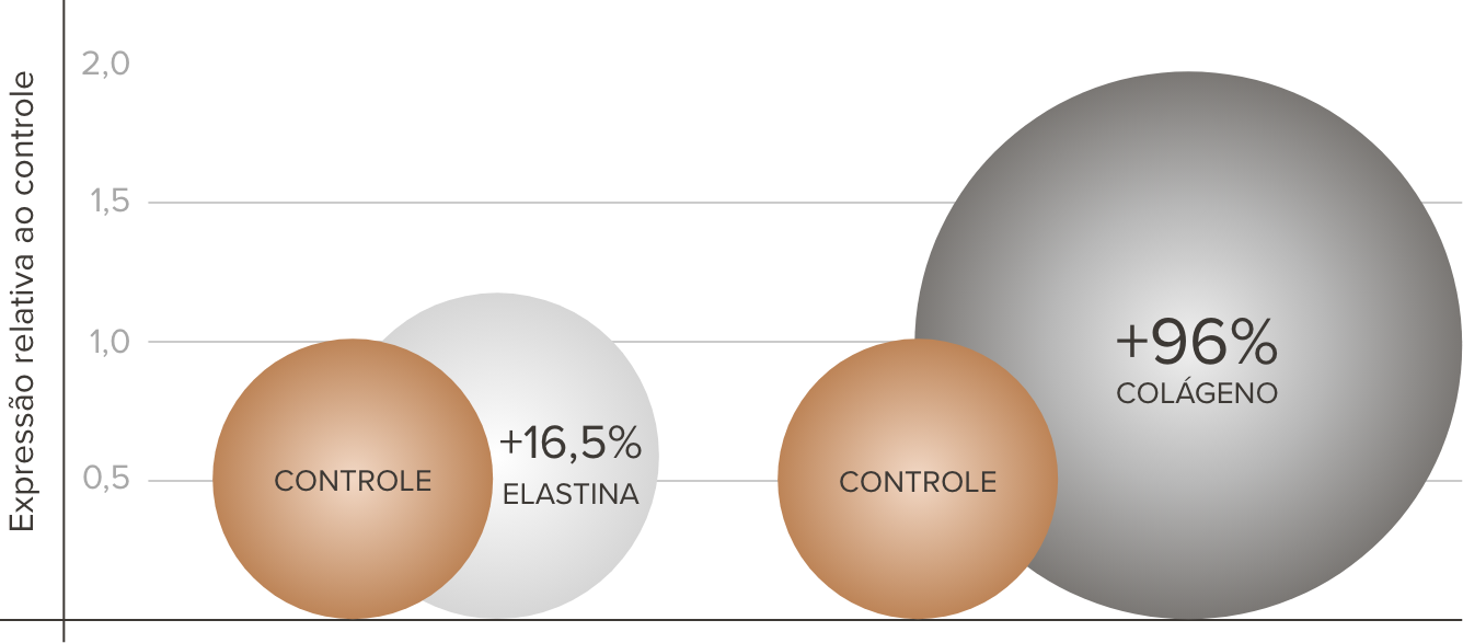 infográfico explicando sobre o efeito do beauty strucuture, o sérum firmados da Noorskin, em aumento na síntese de colágeno e na síntese de elastina, para auxiliar a firmeza da pele.