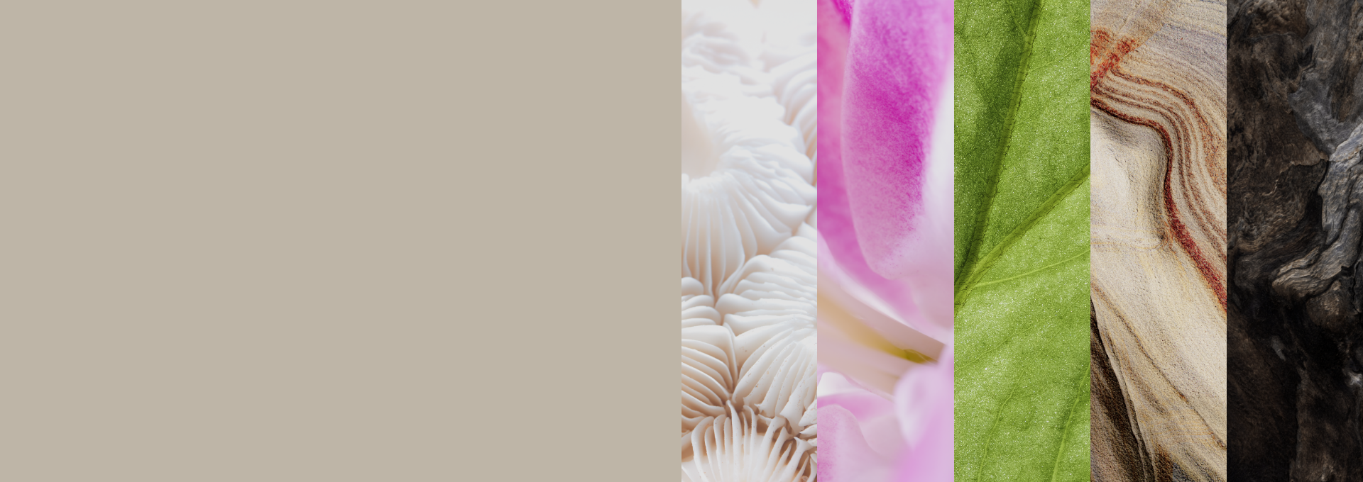 Banner responsivo