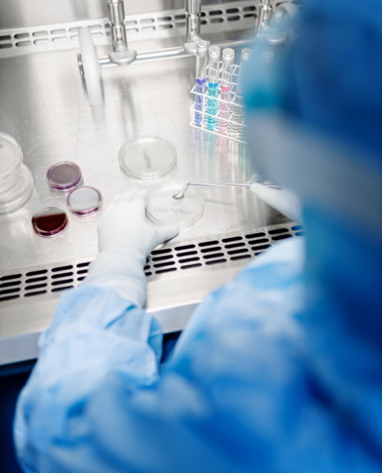 Profissional manipulando amostras em cabine de segurança biológica em ambiente laboratorial controlado